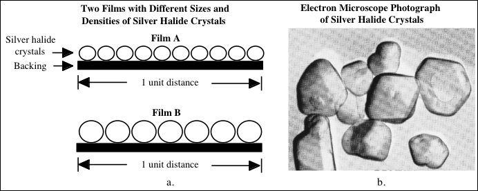 Film silver halide crystals