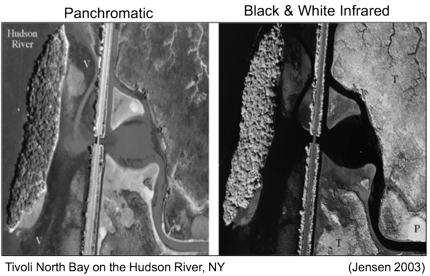 Sensitivity of film types