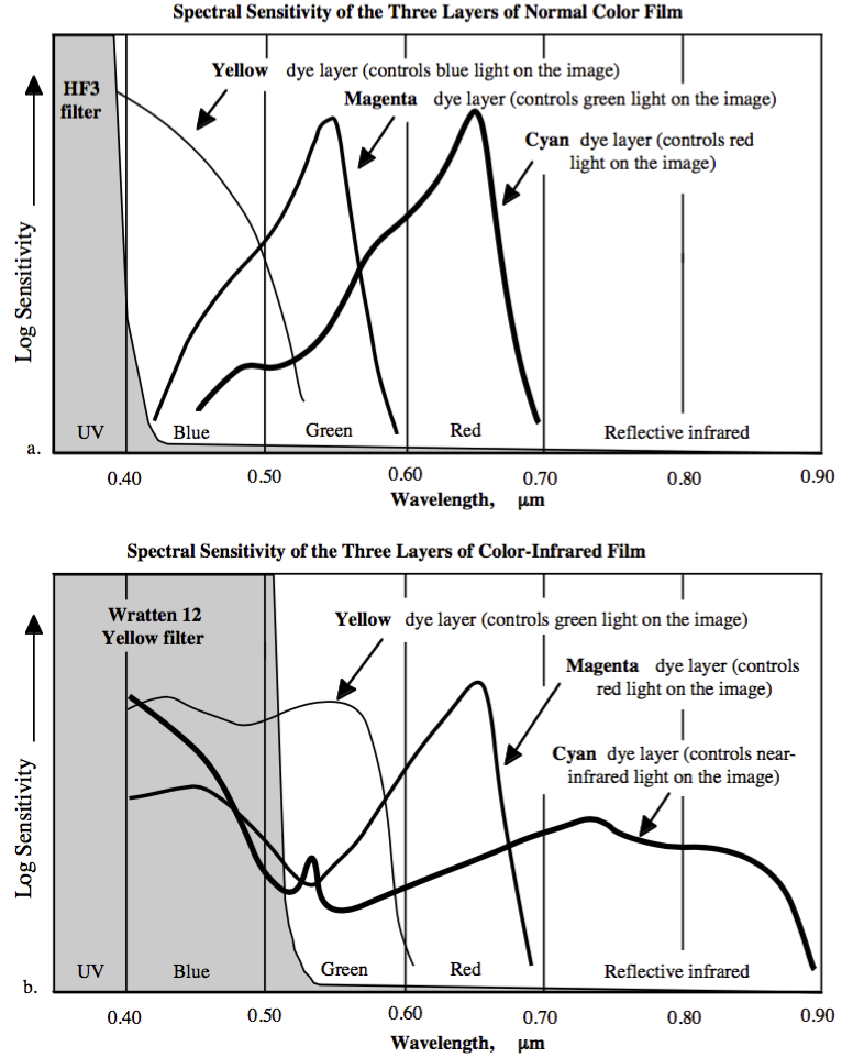 Sensitivity of film types