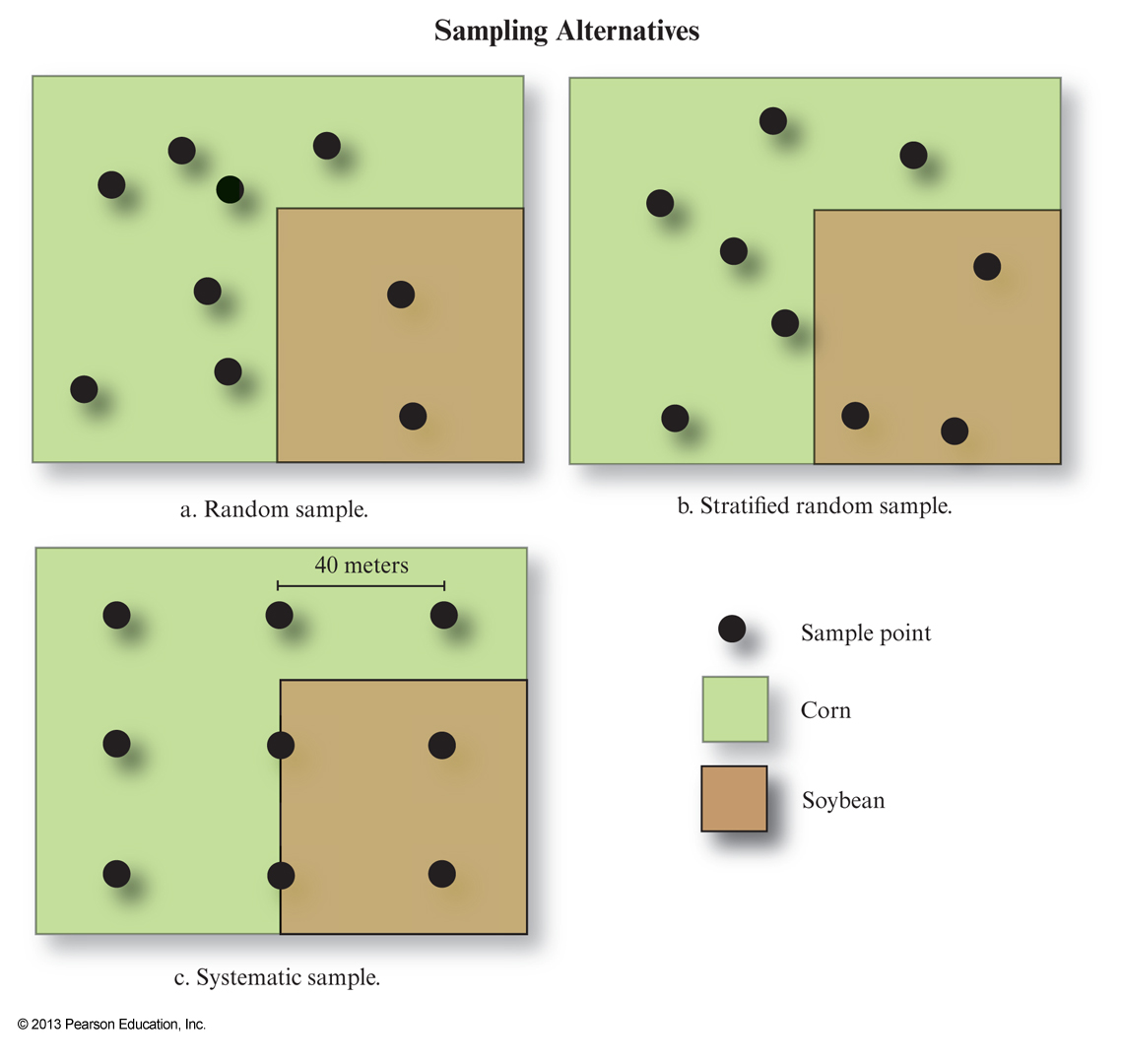 Spatial sampling strategies